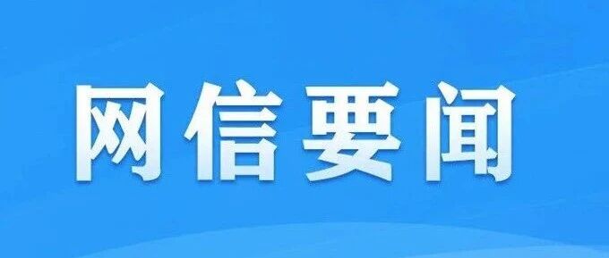 促进网信企业高质量发展行动计划（2026-2030年）