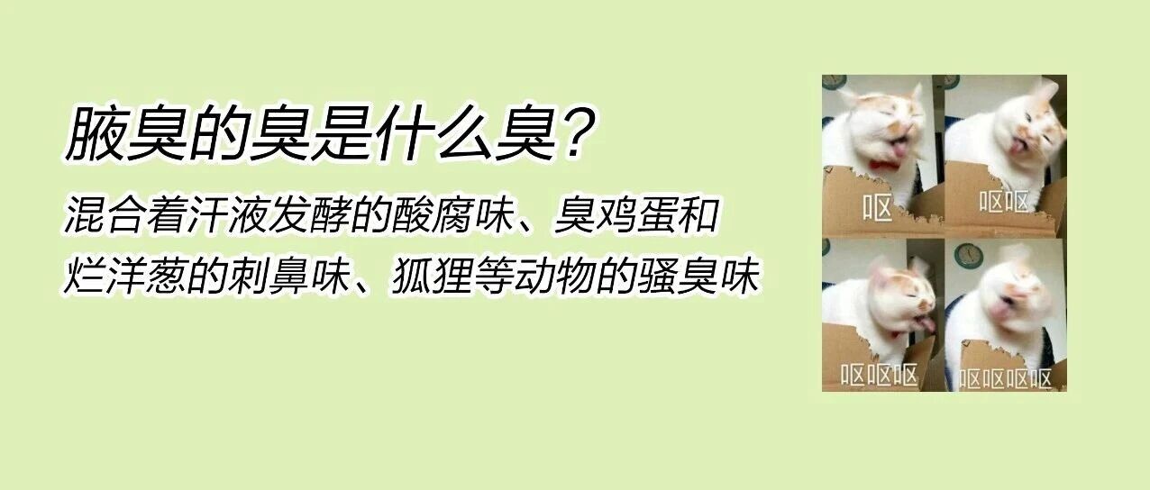 医美坦白局 | 止汗露喷十几年，不如这招治根本