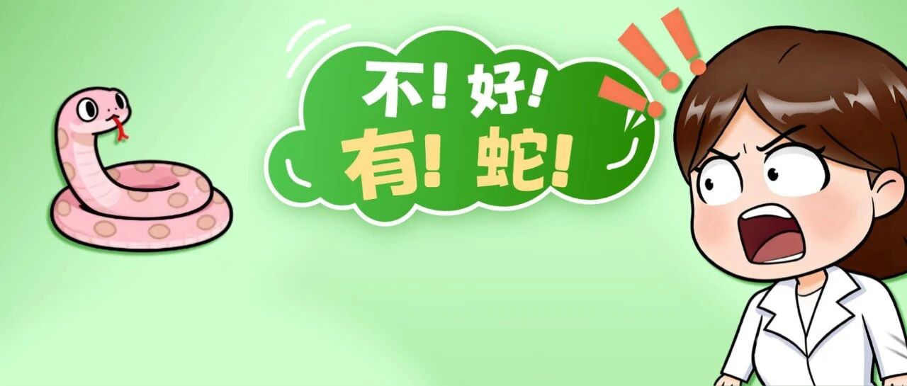 网购盆栽18天爬出4条蛇！商家不退款让消费者自购杀蛇药......最新进展&rarr;