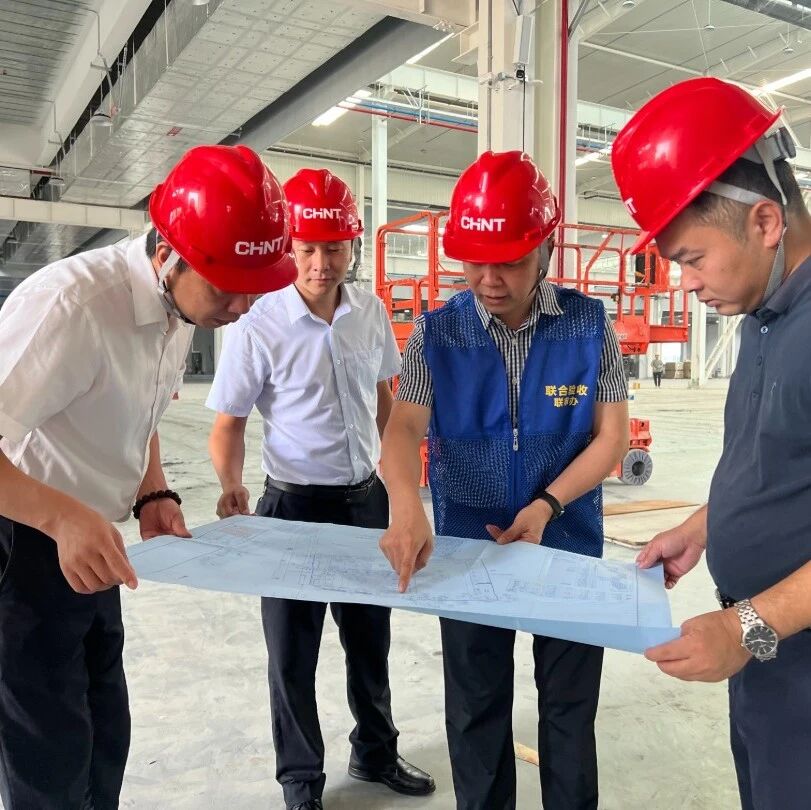 政务服务下沉！多项环两江先行区项目&ldquo;完工即投产&rdquo;