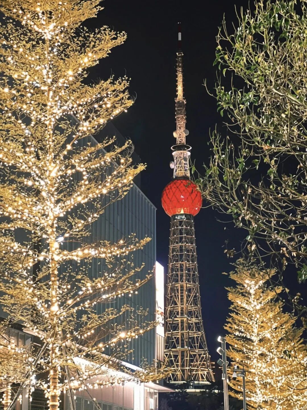 图片_来自小红书 (4).jpg