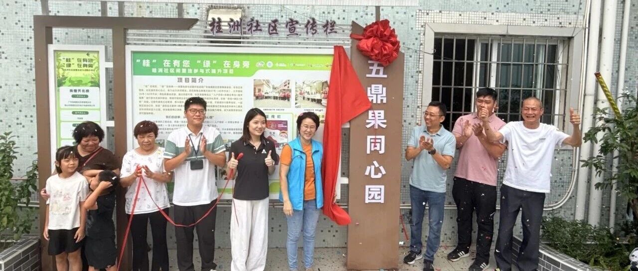 荒地上&ldquo;长&rdquo;出小公园？桂洲街坊：这是我们自己建的！