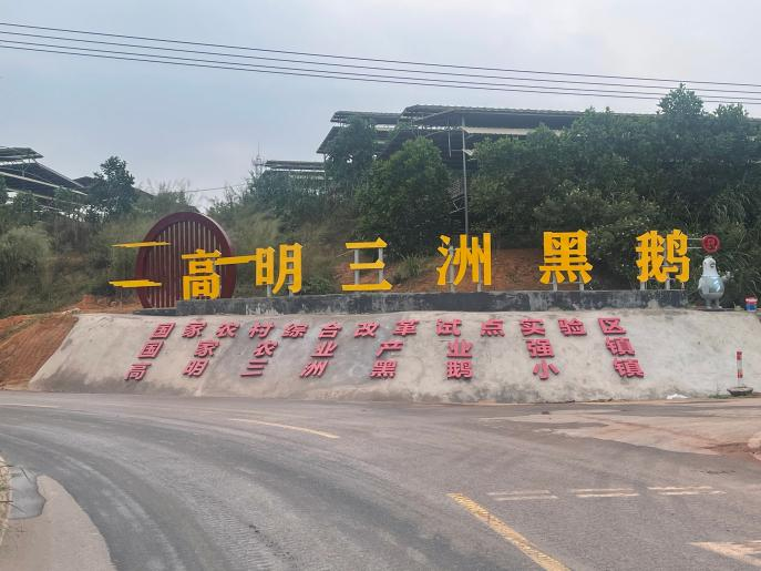 图片9.png