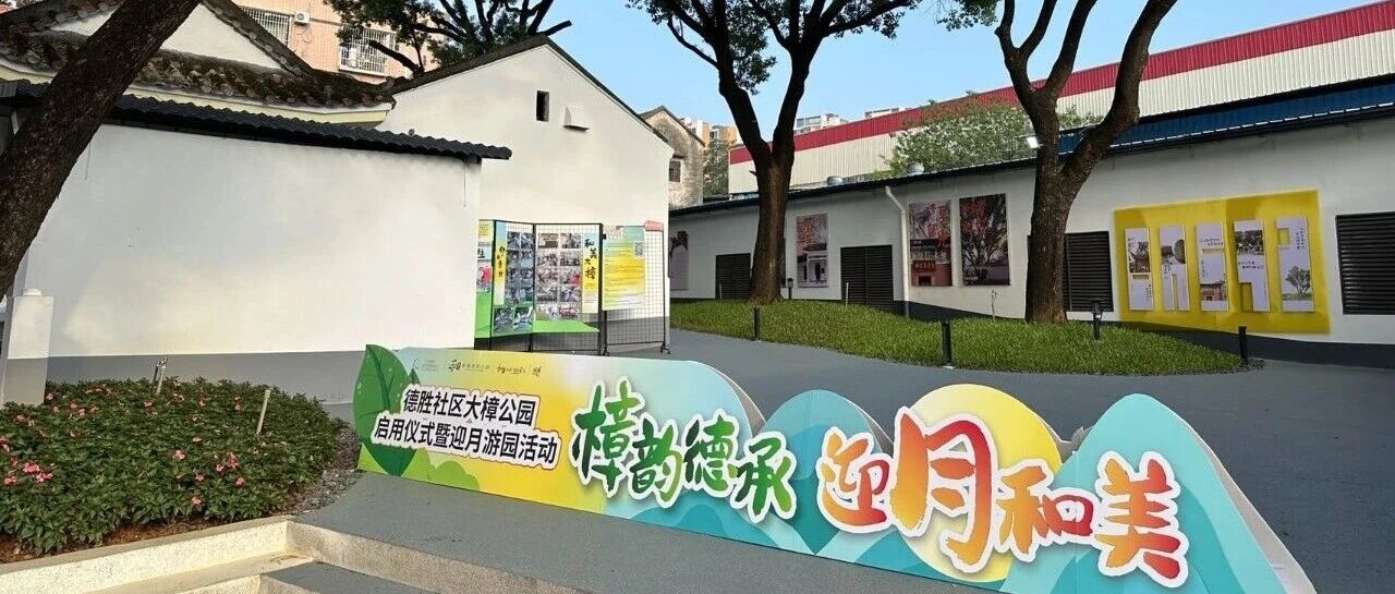 在边角地&ldquo;种&rdquo;新园，大樟古树下迎来焕新变化