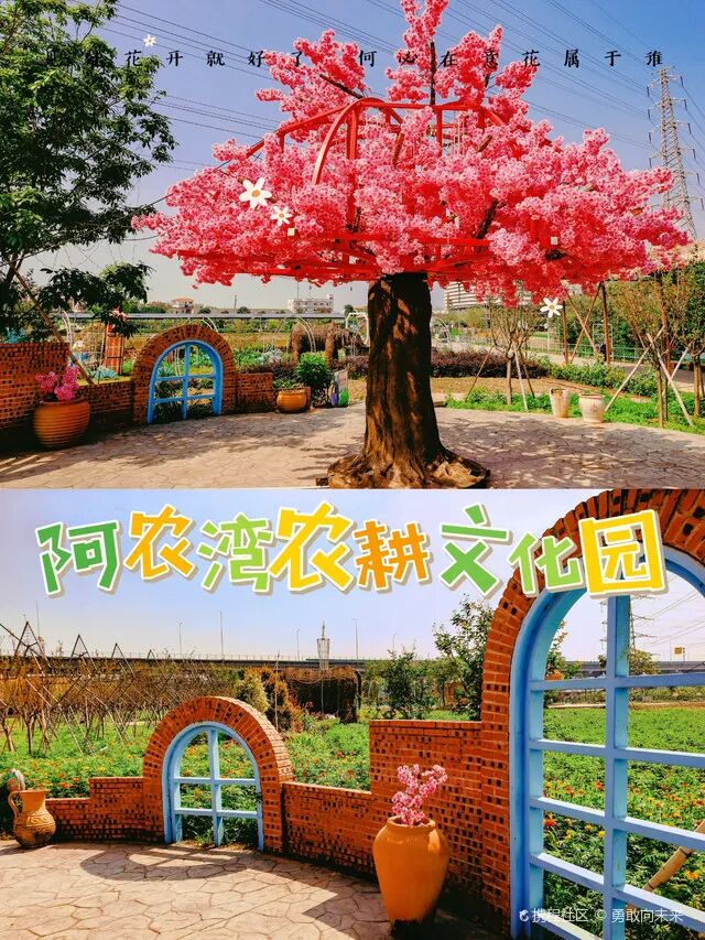 阿农湾农耕文化园13 - 副本.jpg